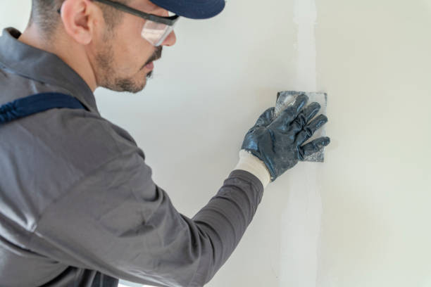 Best Biohazard Mold Removal  in Mount Oliver, PA