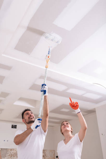 Best Asbestos and Lead Testing During Mold Inspection  in Mount Oliver, PA